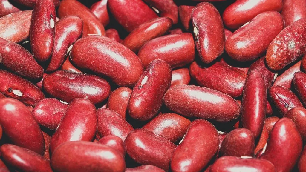 Red Beans And Rice