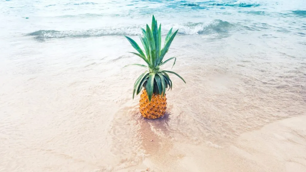 Sex On The Beach Cocktail Faqs