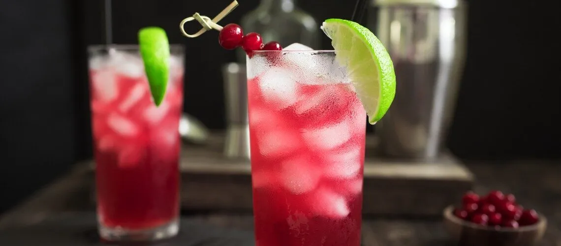 10 Classic Gin Cocktails – Easy to Make Recipes