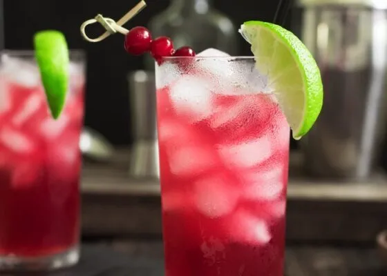10 Classic Gin Cocktails – Easy to Make Recipes