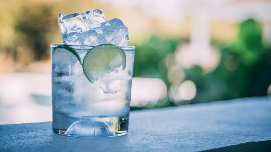 Best Gin And Tonic Recipe Simple