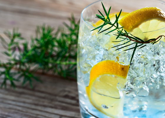 Best Gin and Tonic Recipe – Simple and Refreshing Drink