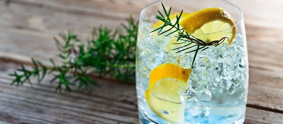 Best Gin and Tonic Recipe - Simple and Refreshing Drink - Lola Covington