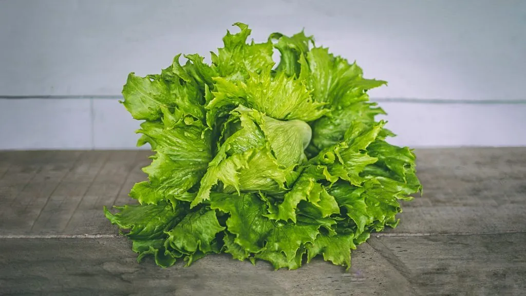 Garden Salad