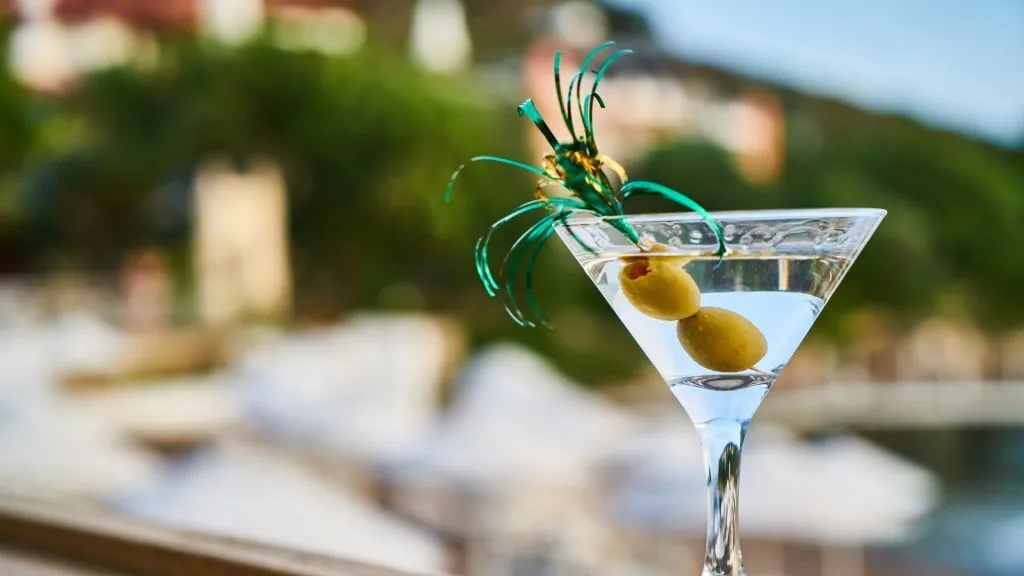 Gin Martini Cocktail Classic