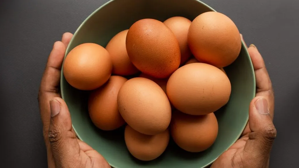Hard Boiled Egg