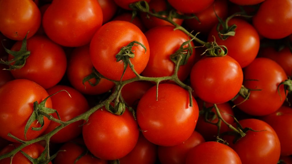 Healthy Snacks Tomatoes