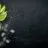 How to Make Gin – Complete Guide