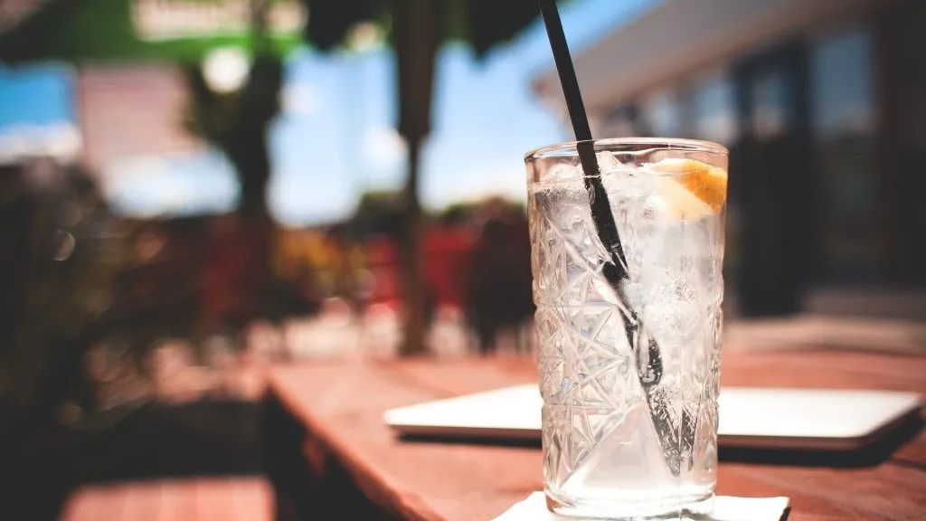 Lemonade And Gin