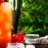 Tequila Sunrise Cocktail