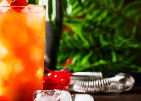 Tequila Sunrise Cocktail