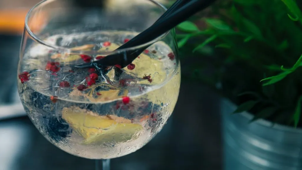 Instruction For Strawberry Gin Smash