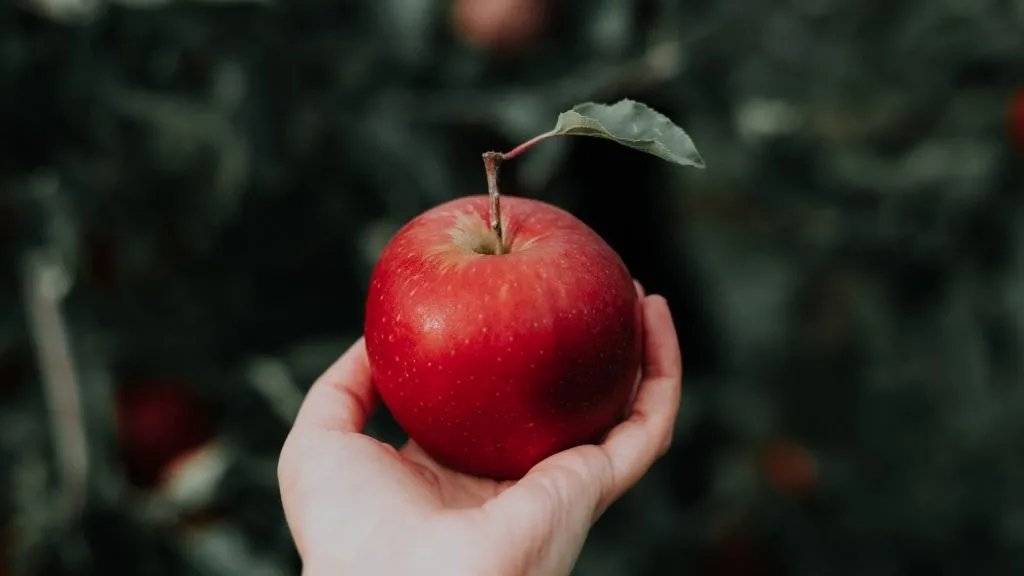 Apple Healthy Plan