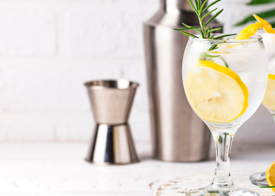 Different Types of Gin Explained – A Complete Gin Guide