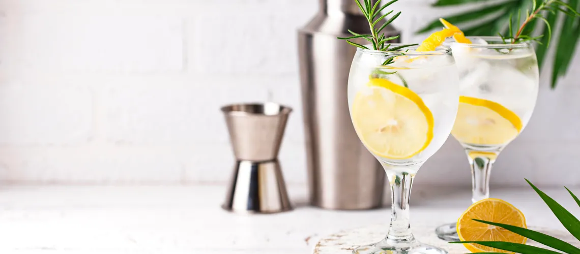 Different Types of Gin Explained – A Complete Gin Guide