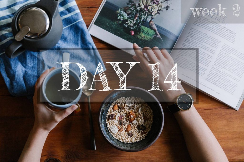 Day 14 of Healthy Meal Plan – What to eat today?
