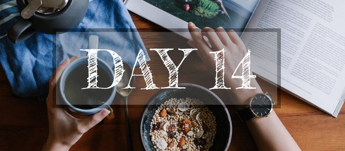 Day 14 of Healthy Meal Plan – What to eat today?