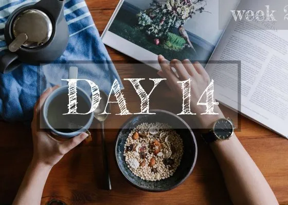 Day 14 of Healthy Meal Plan – What to eat today?