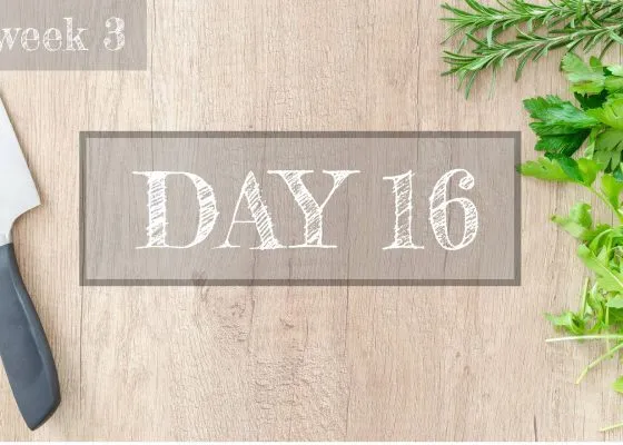 Day 16 of Healthy Meal Plan  – What to eat today?