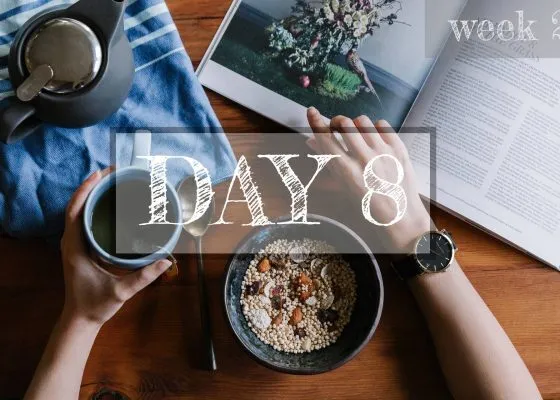 Day 8 of Healthy Meal Plan – What to eat today?