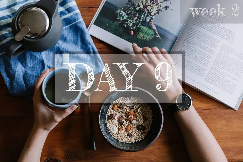 Day 9 of Healthy Meal Plan – What to eat today?