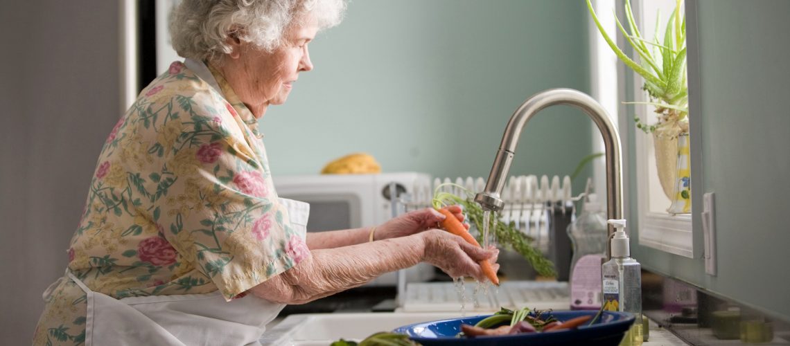 Dissertation Writing: The quality of nutrition in homes for the elderly