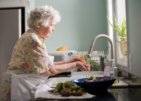 Dissertation Writing: The quality of nutrition in homes for the elderly