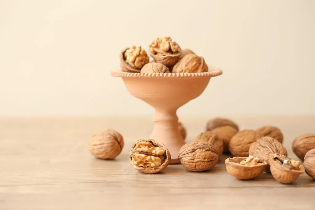 Nut Oat Bars