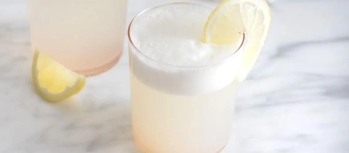 Gin Fizz Cocktail Recipe