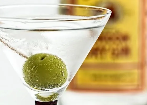 Martini Dry Cocktail Recipe