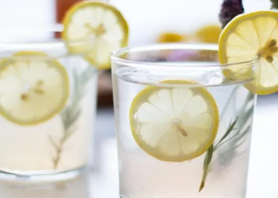 Tom Collins Cocktail Recipe