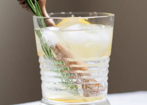 New Orleans Fizz Recipe