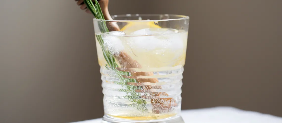 New Orleans Fizz Recipe