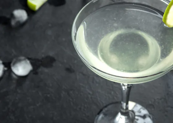 Vodka Gimlet Recipe
