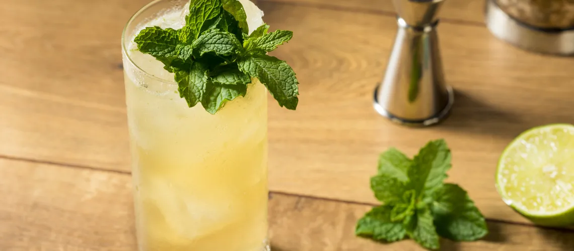 Gin Mule Recipe