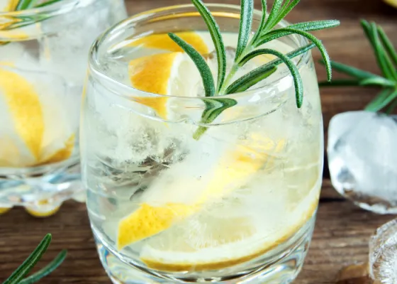 Vodka Tonic Recipe