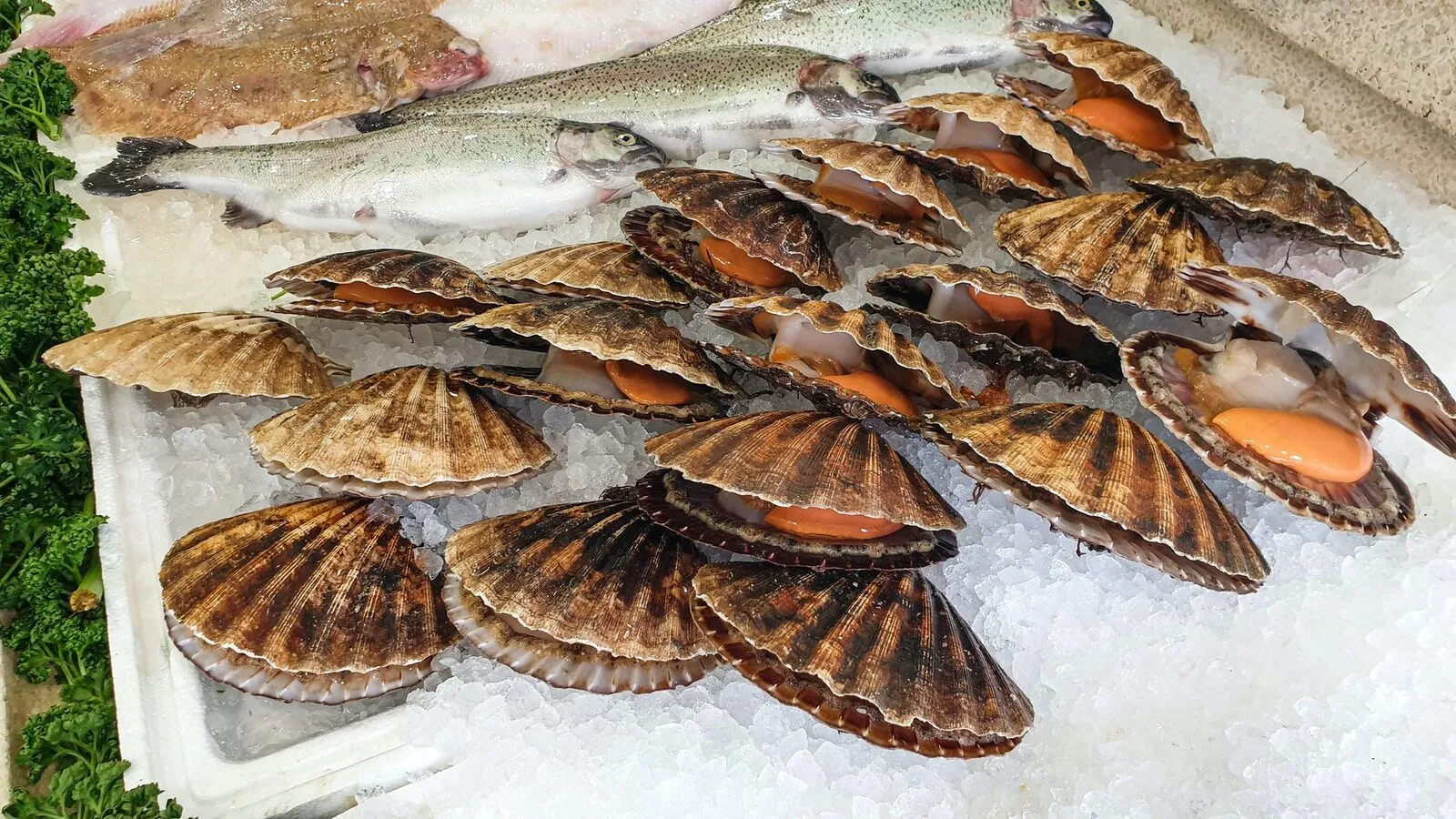 Foods that are Likely to Cause Food Poisoning
