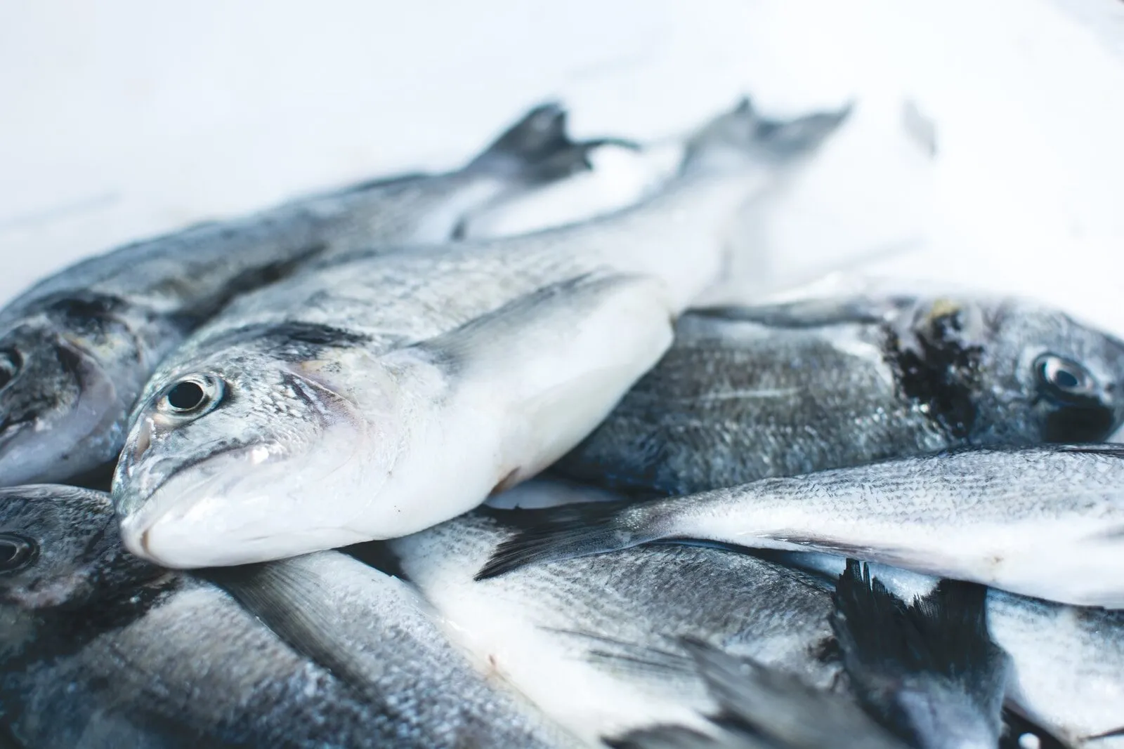 8 Tips on Healthy Ways to Eat Your Food