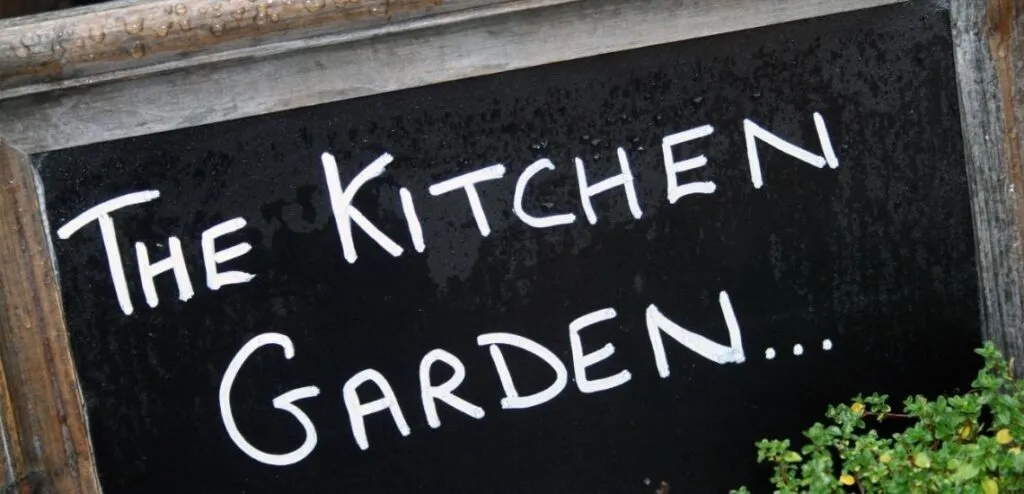 Start A Kitchen Garden
