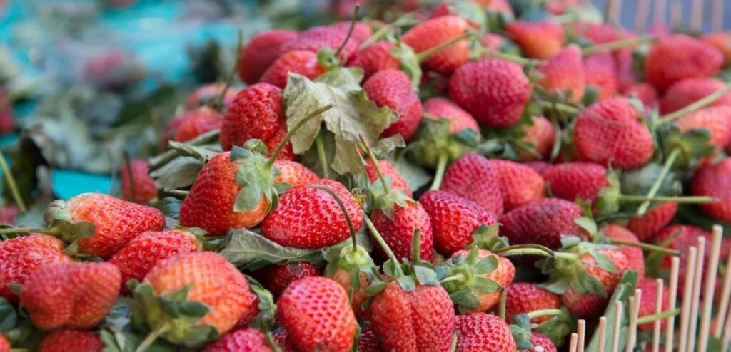 The Best Way To Store Berries