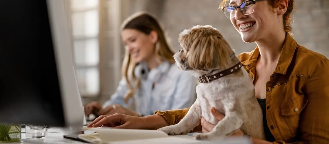 Pet Friendly Bed And Breakfasts